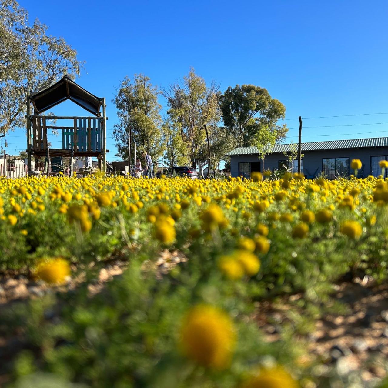 Little Farms Hotel Colesberg Exterior foto